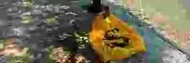 Blur Background