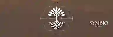Blur Background