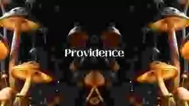 Blur Background