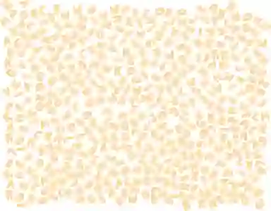 Blur Background