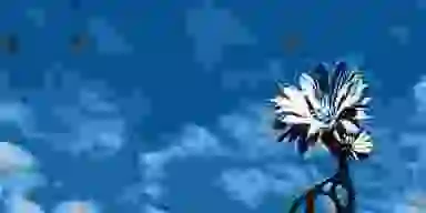 Blur Background