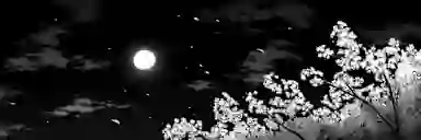 Blur Background