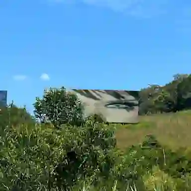 Blur Background