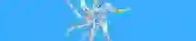 Blur Background