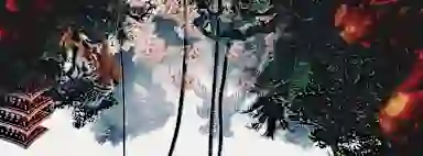 Blur Background
