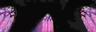 Blur Background