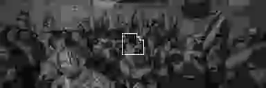 Blur Background