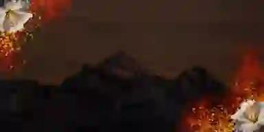 Blur Background