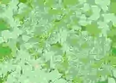 Blur Background