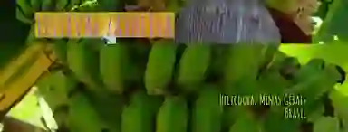 Blur Background