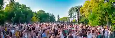 Blur Background