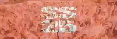 Blur Background