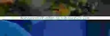 Blur Background
