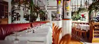 Blur Background
