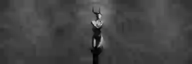 Blur Background