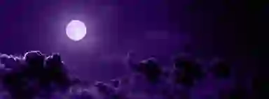 Blur Background