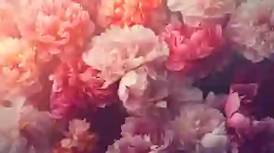 Blur Background