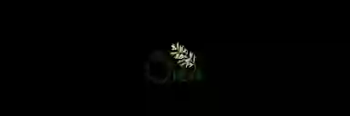 Blur Background
