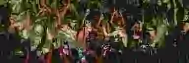 Blur Background