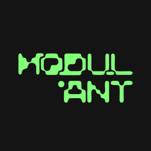 MODUL.ANT