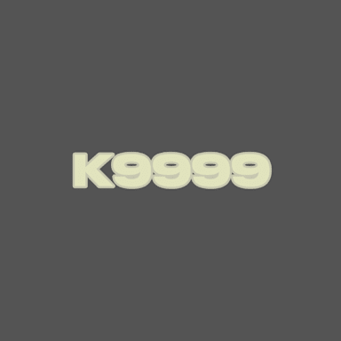 K9999 Radio