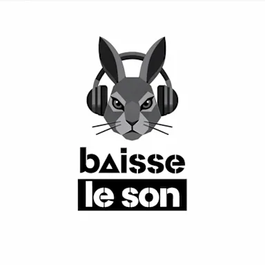 Baisse Le Son