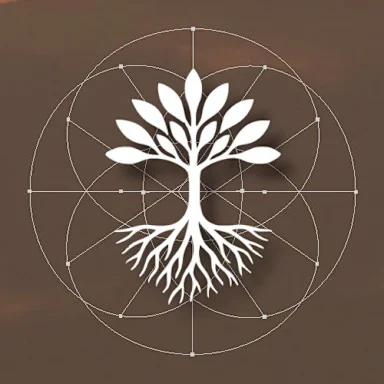 Symbio Experience