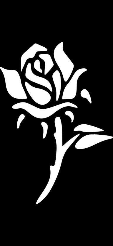 Romanticos Collective