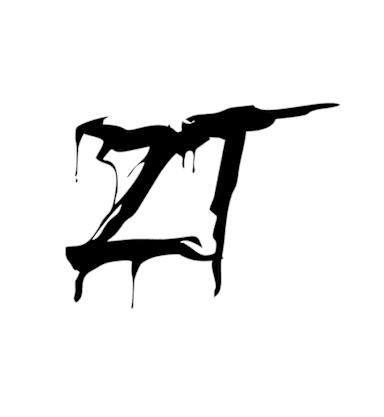 ZT MOTION