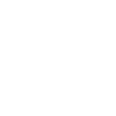 Saint Zion Event