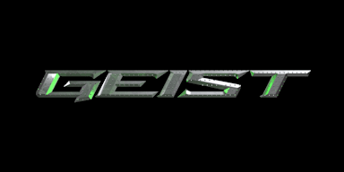 GEIST AGENCY