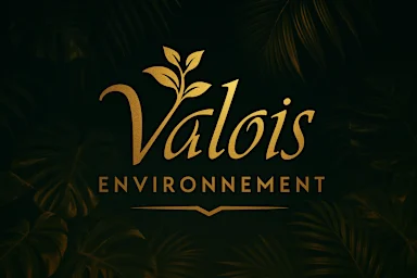 VALOIS JUNGLE CLUB by VALOIS