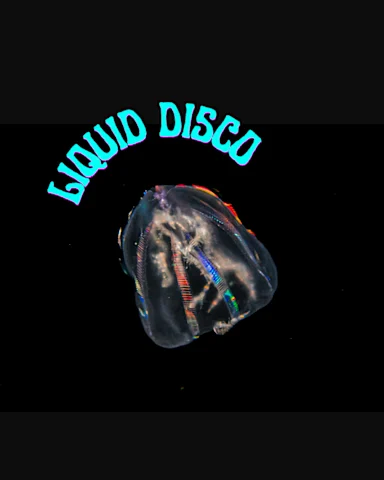 Liquid Disco