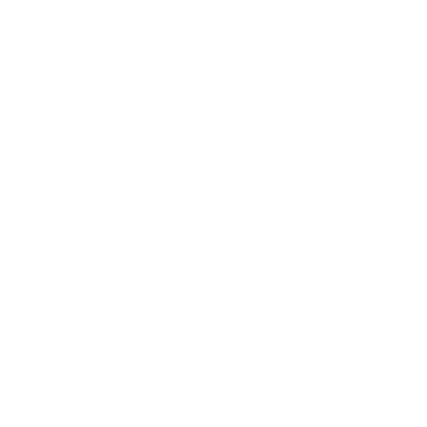RESET 