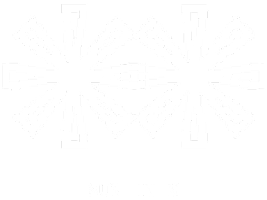 Sun in X