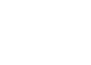 ULTIMA VOX