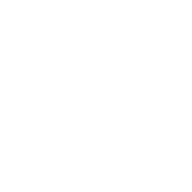 ViViD Presents