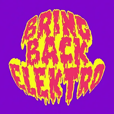 BRING BACK ELEKTRO