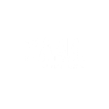ZAYA EXPERIENCE