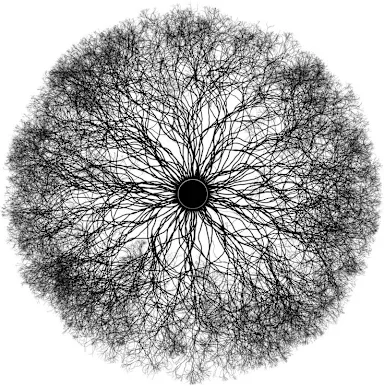 RHIZO