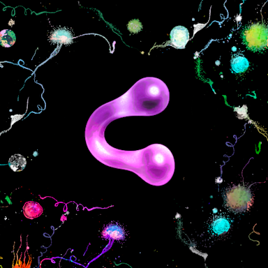 cubensis