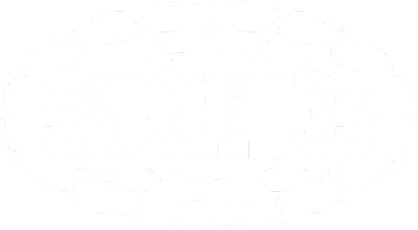 SAT3LLIT3S
