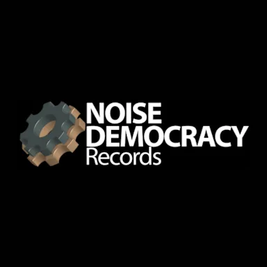 Noise Democracy