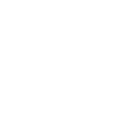TUNNEL OF LOVE