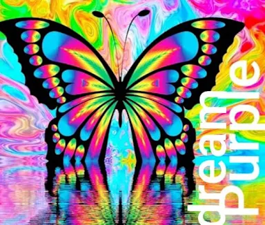 DREAM PURPLE
