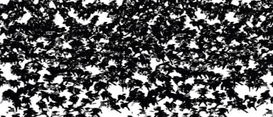 Blur Background
