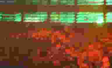 Blur Background