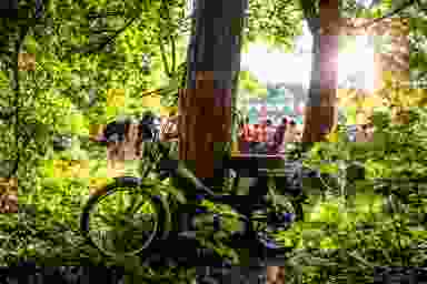 Blur Background