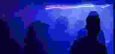 Blur Background