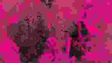 Blur Background